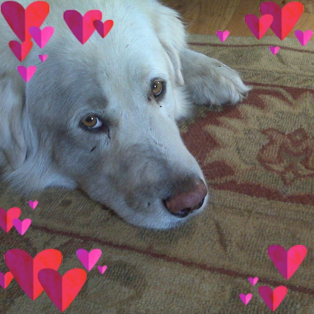 Meet your Posher, Mihaela